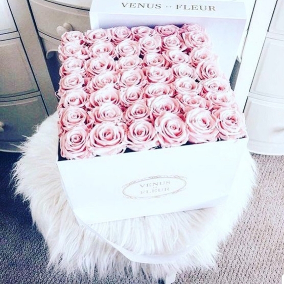 Meet your Posher, Crystal - Picture 4 of 6